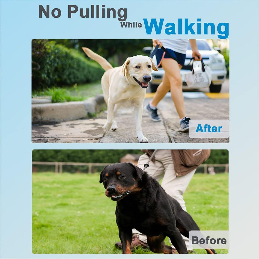 Dog Training Collar T86182