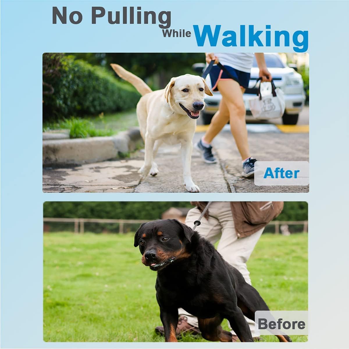 Dog Training Collar T86182