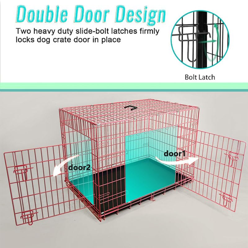 48-Inch Folding Metal Dog Crate with Divider, Tray, and Carry Handle F498409