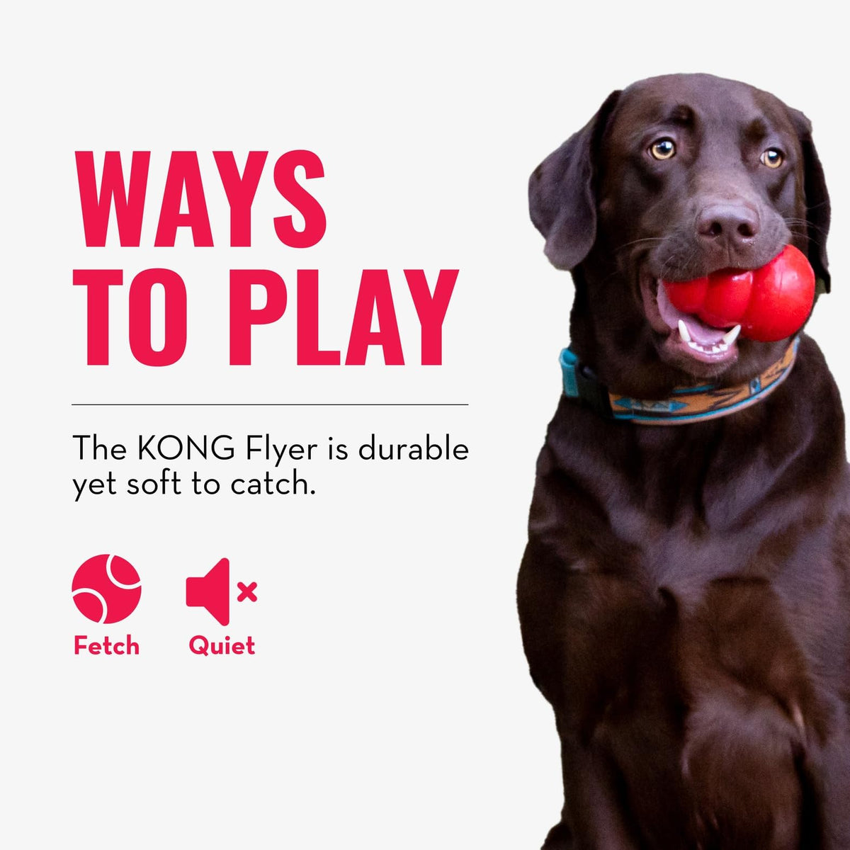 Natural Rubber Flying Disc Fetch Toy L9501
