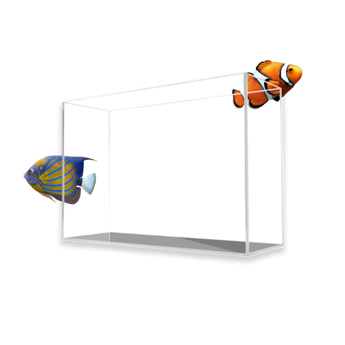 Tall Glass Aquarium 12.7 Gal N218