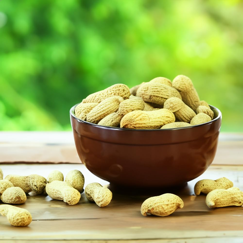Peanuts In Shell 2 lbs O42250