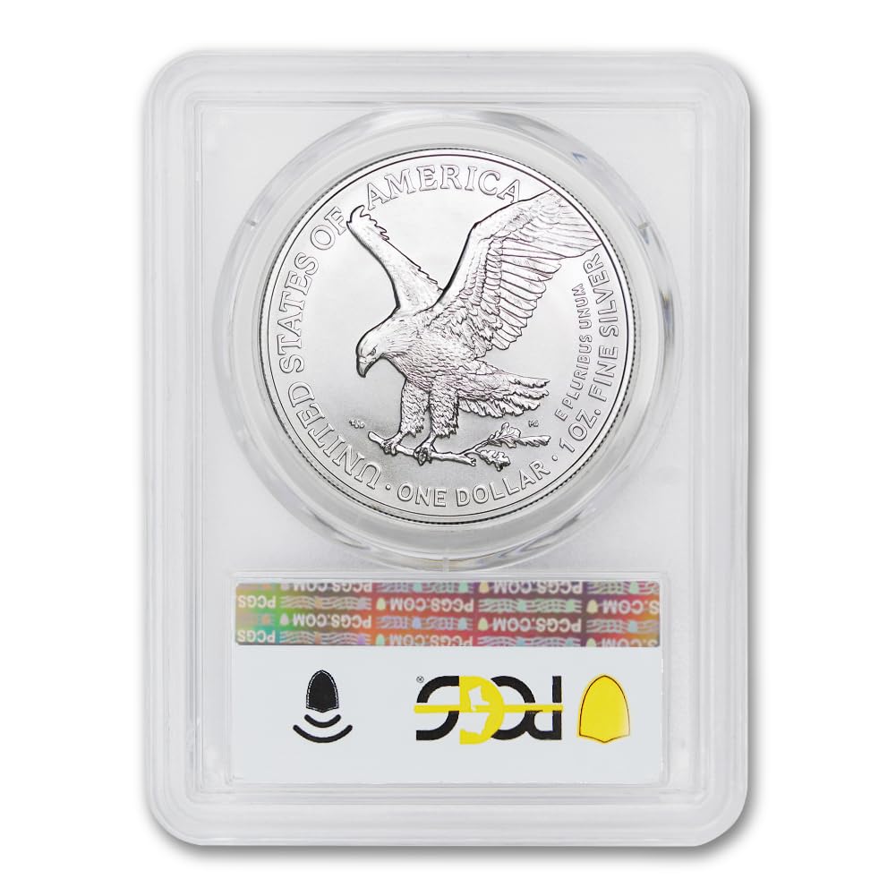 1 oz American Silver Eagle Coin MS-70 J850490