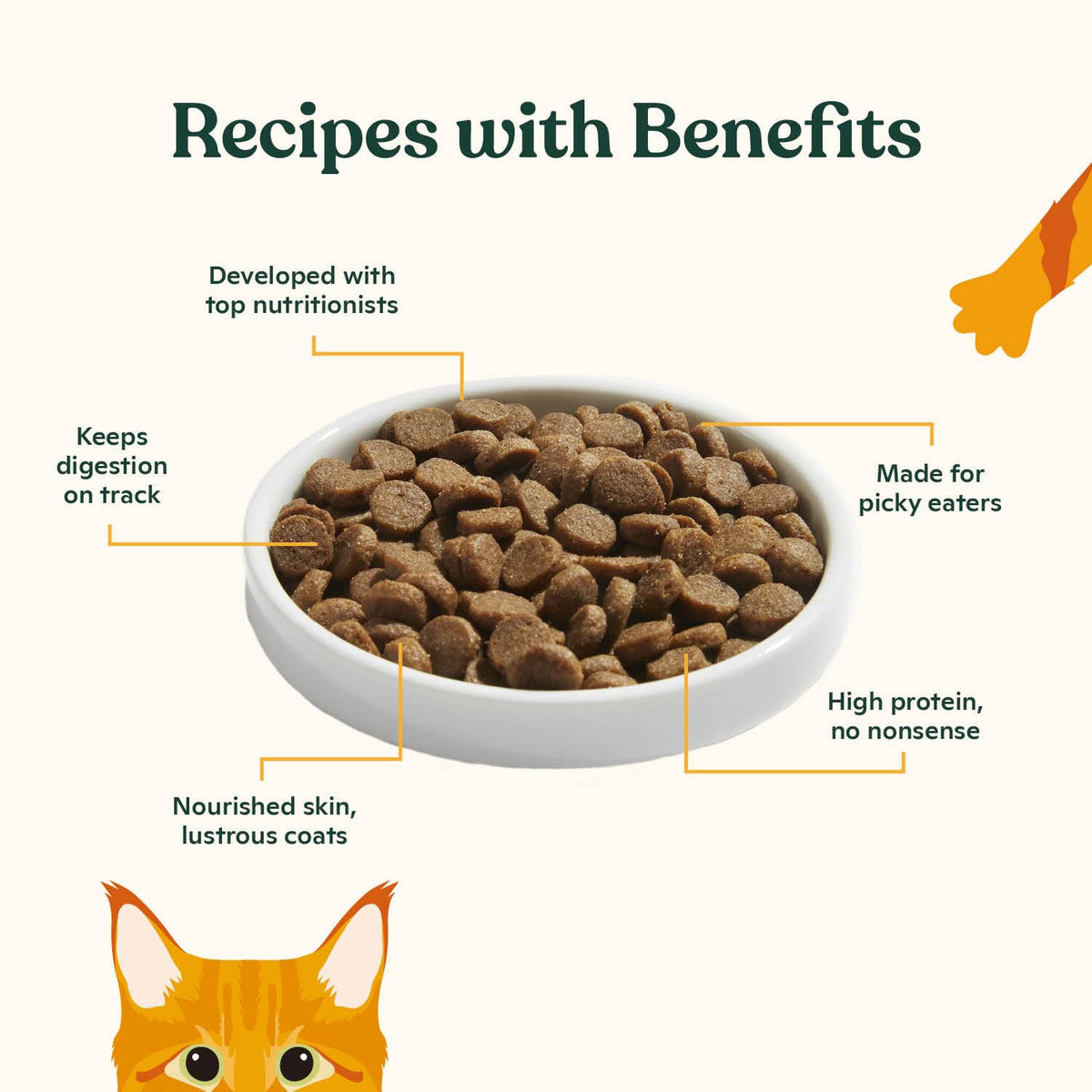 Kitten Dry Kibble with Bone Broth Chicken Cat Food 4lb Bag F973611