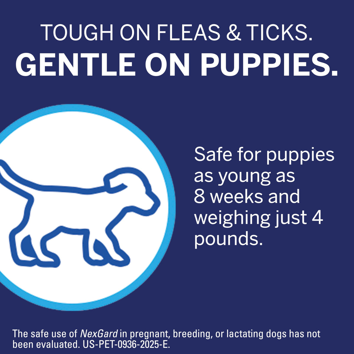 Flea and Tick Chewables for Dogs 4 to 10 lbs Beef Flavored H633309