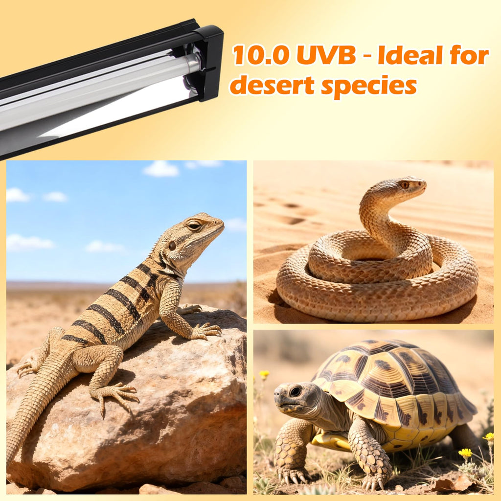 8W 10.0 UVB Reptile Light Fixture Combo Kit with Terrarium Hood H738271