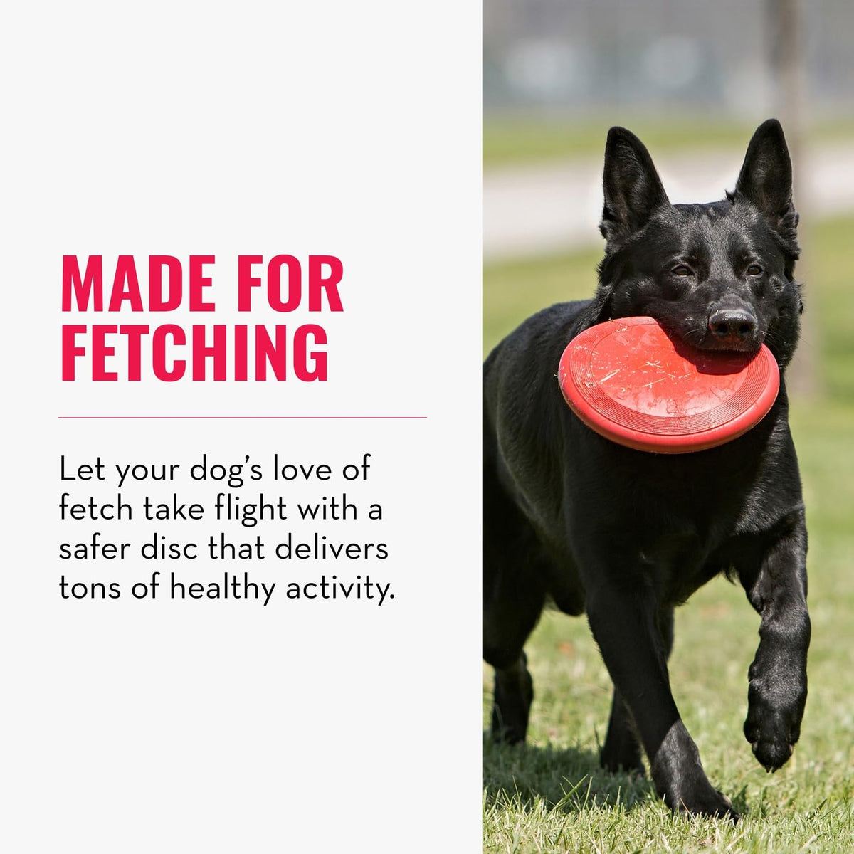 Natural Rubber Flying Disc Fetch Toy L9501