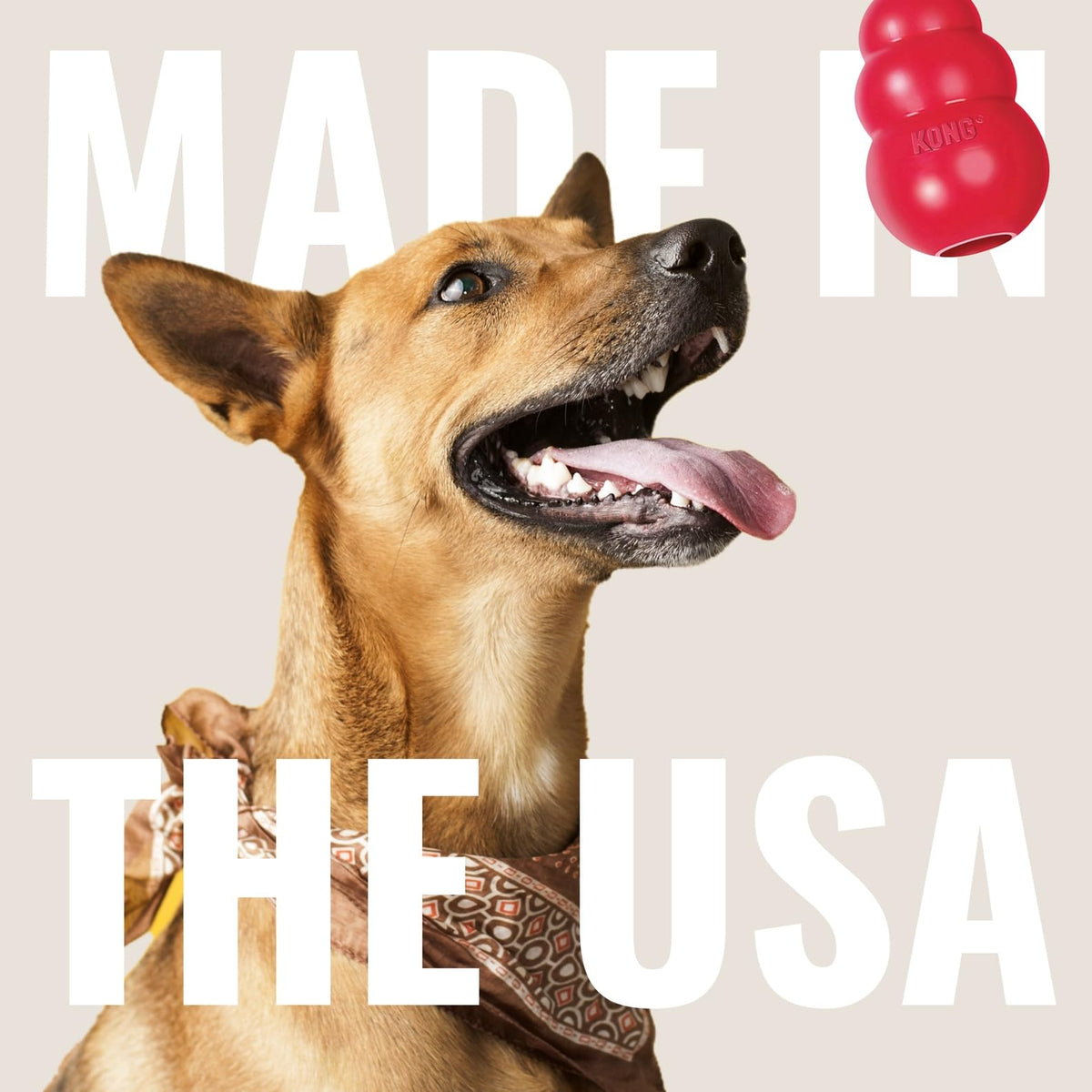 Natural Rubber Flying Disc Fetch Toy L9501