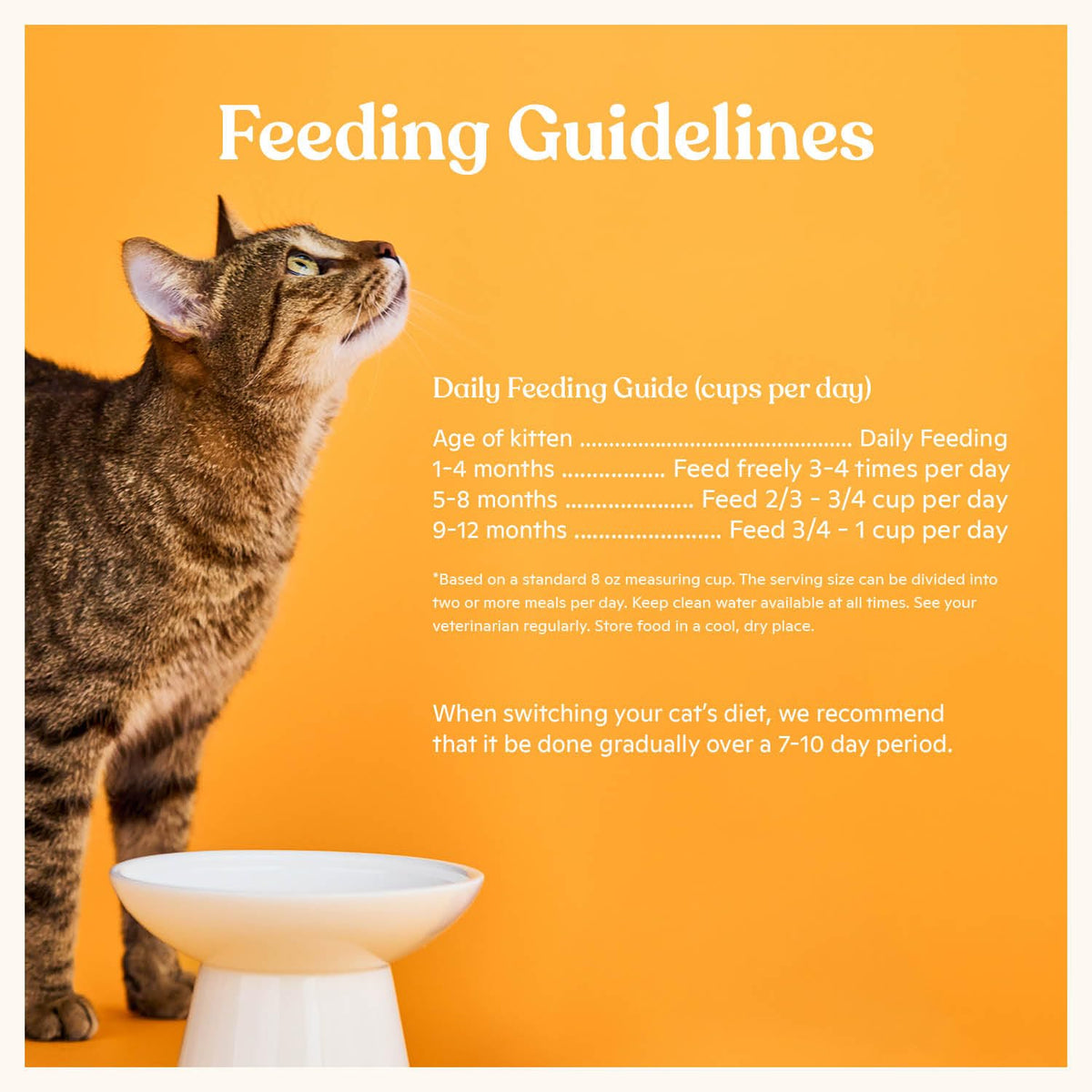 Kitten Dry Kibble with Bone Broth Chicken Cat Food 4lb Bag F973611