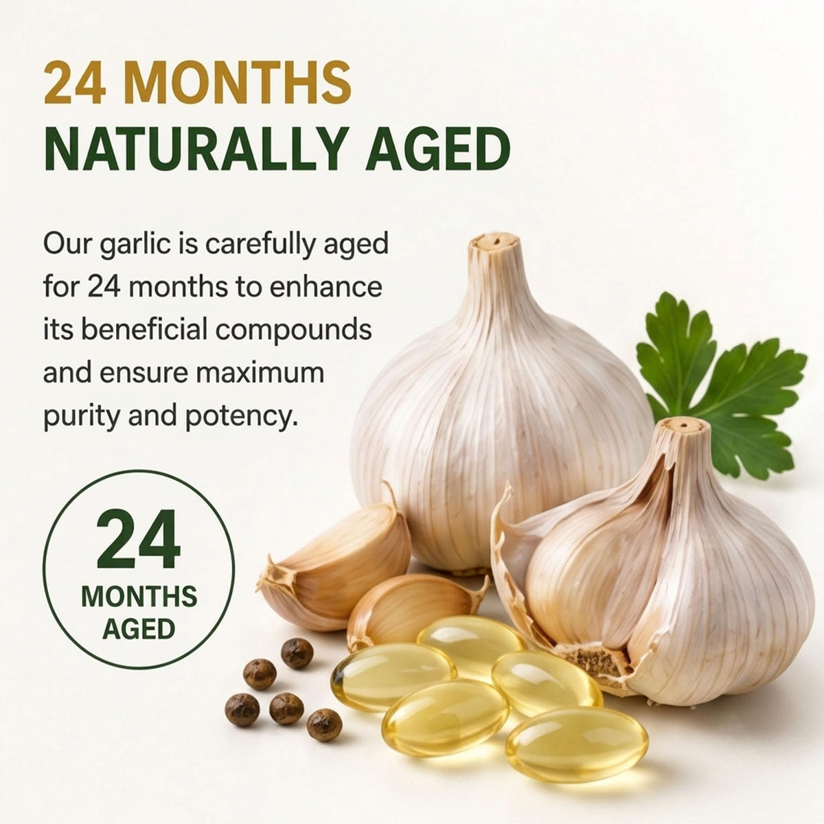Odorless Aged Garlic Extract Supplement, 300 Softgels Y905676