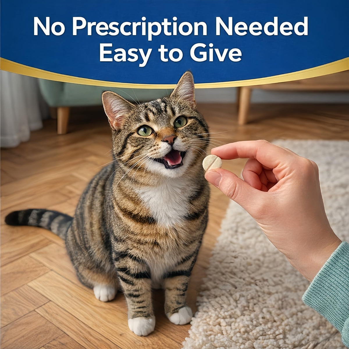 Broad-Spectrum Dewormer Tablets O54407