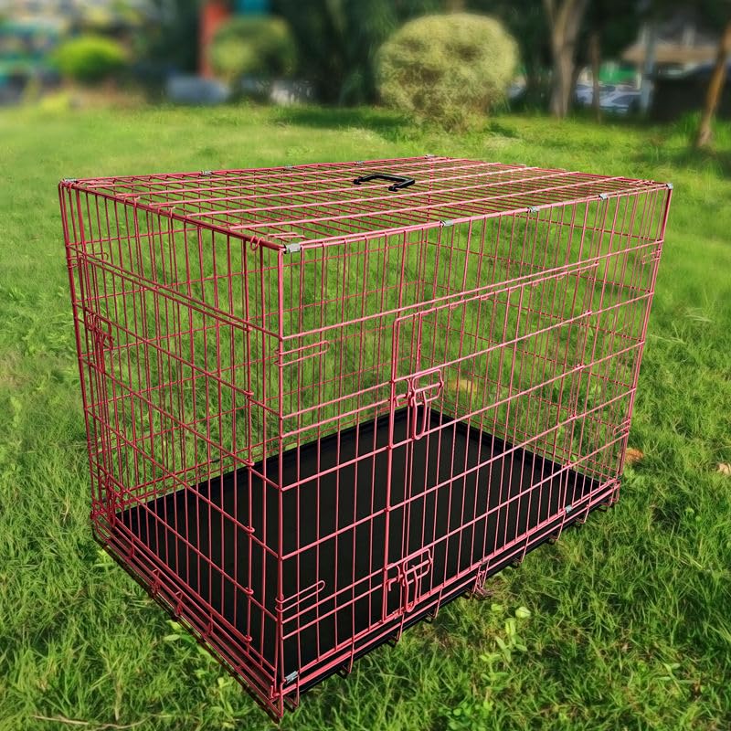 48-Inch Folding Metal Dog Crate with Divider, Tray, and Carry Handle F498409