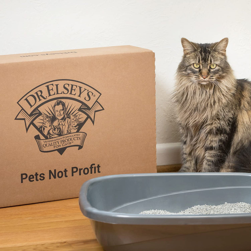 Clumping Clay Cat Litter 18 lb. Bag Q740