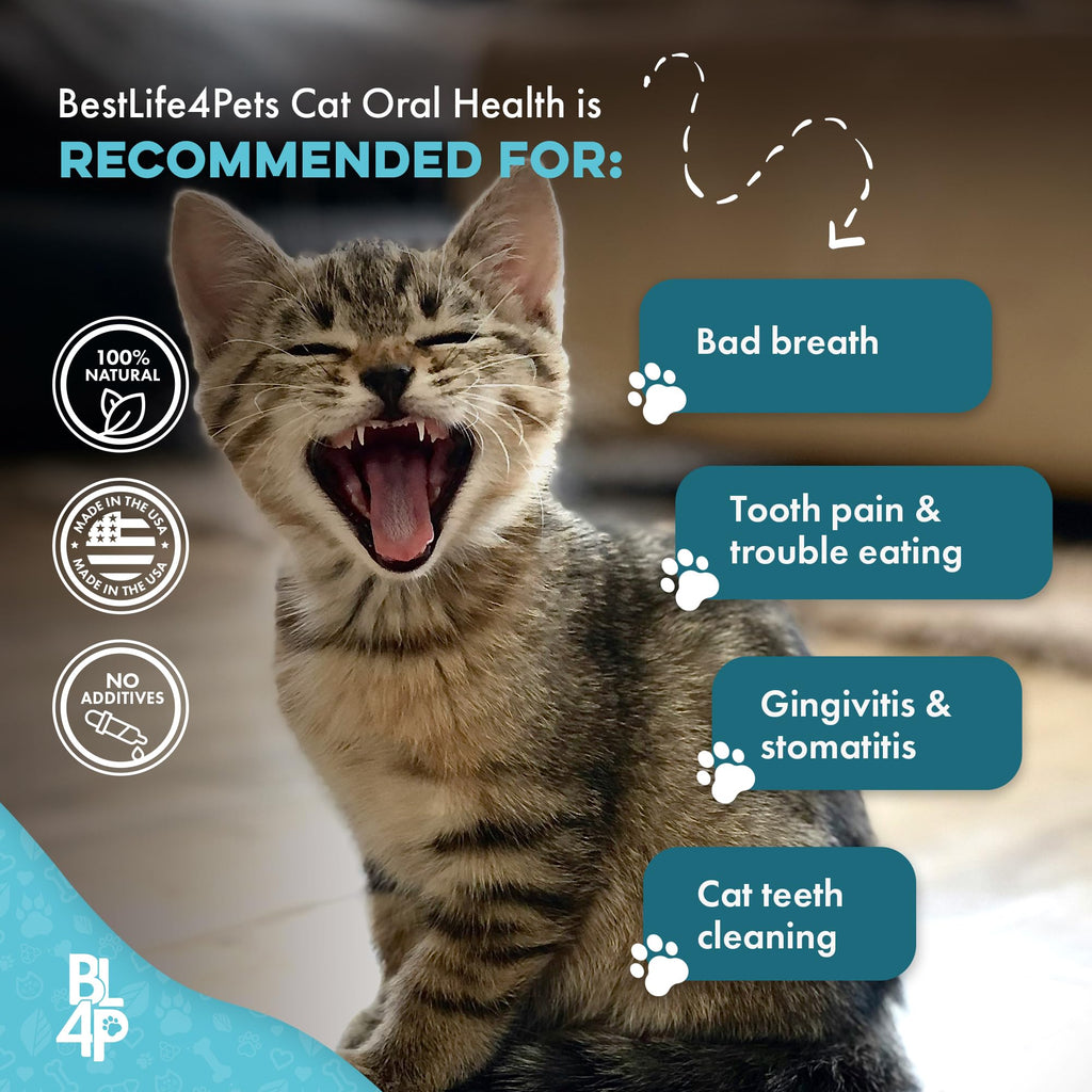 Cat Dental Care Supplement 400 Pills D5443