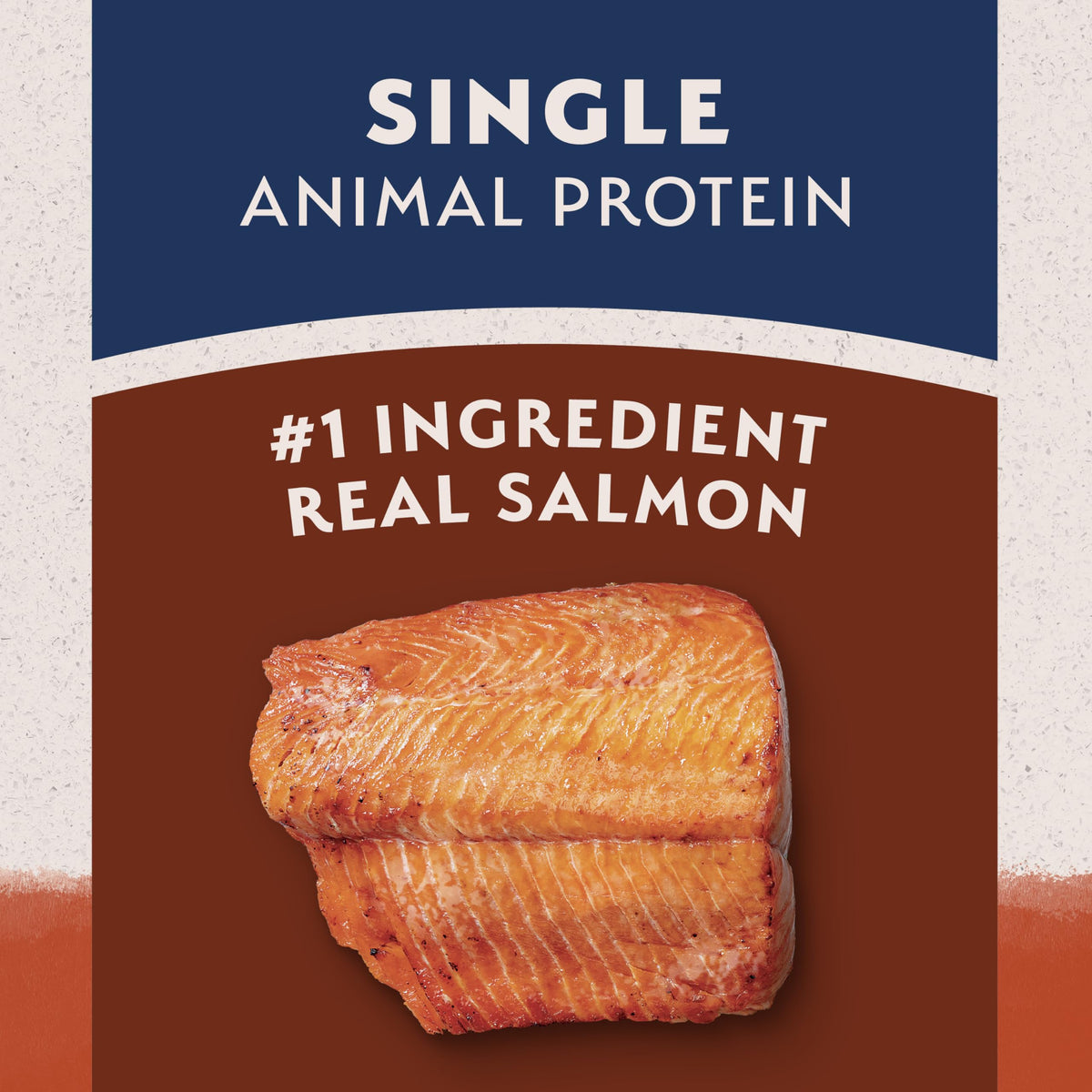 Salmon & Sweet Potato Dog Food 24 lb R71938