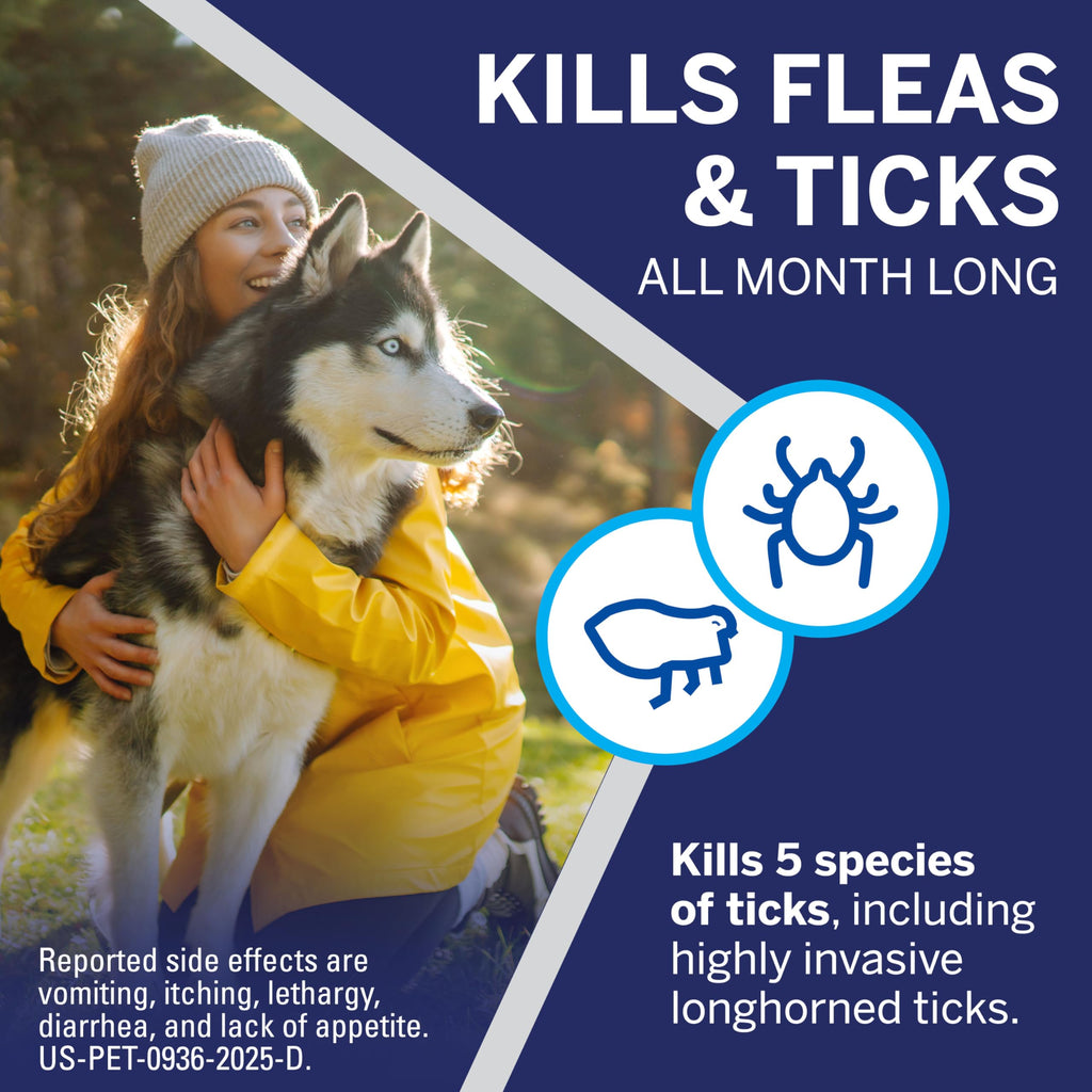 Flea and Tick Chewables for Dogs 4 to 10 lbs Beef Flavored H633309