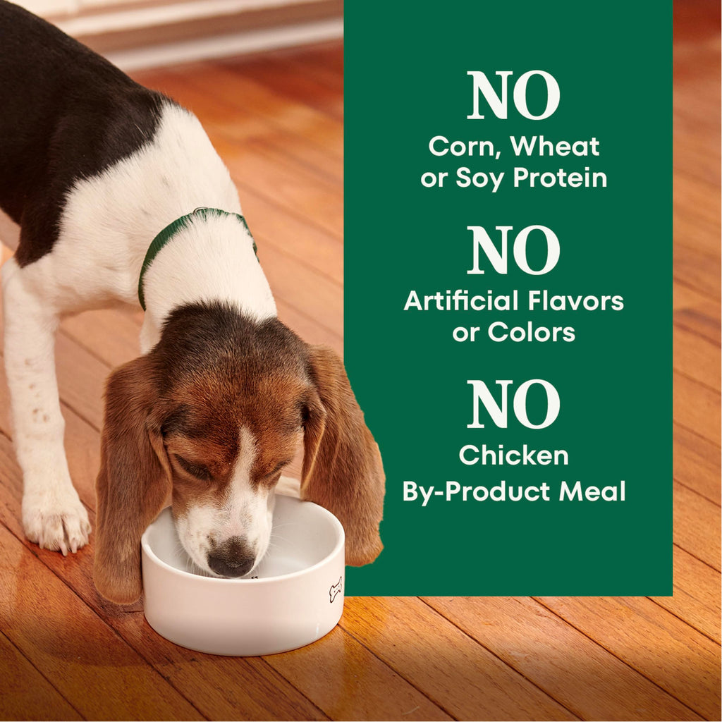 Large Breed Puppy Dry Dog Food Chicken 13 lb X77222