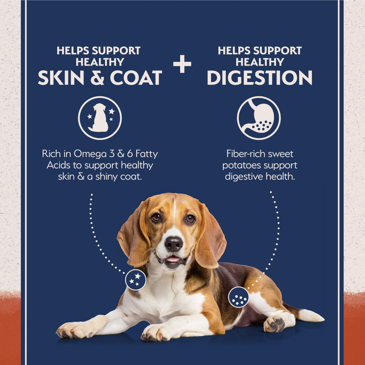 Salmon & Sweet Potato Dog Food 24 lb R71938