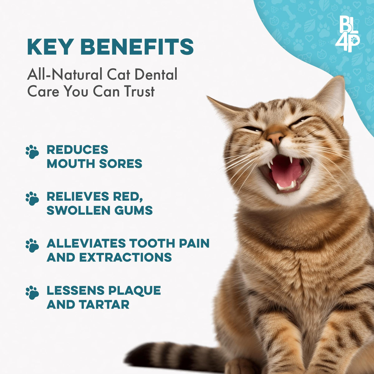 Cat Dental Care Supplement 400 Pills D5443