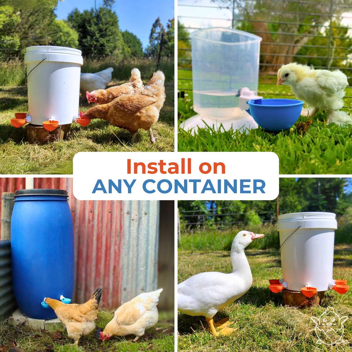 Blue Large Automatic Chicken Waterer Cups Pack of 5 P41409