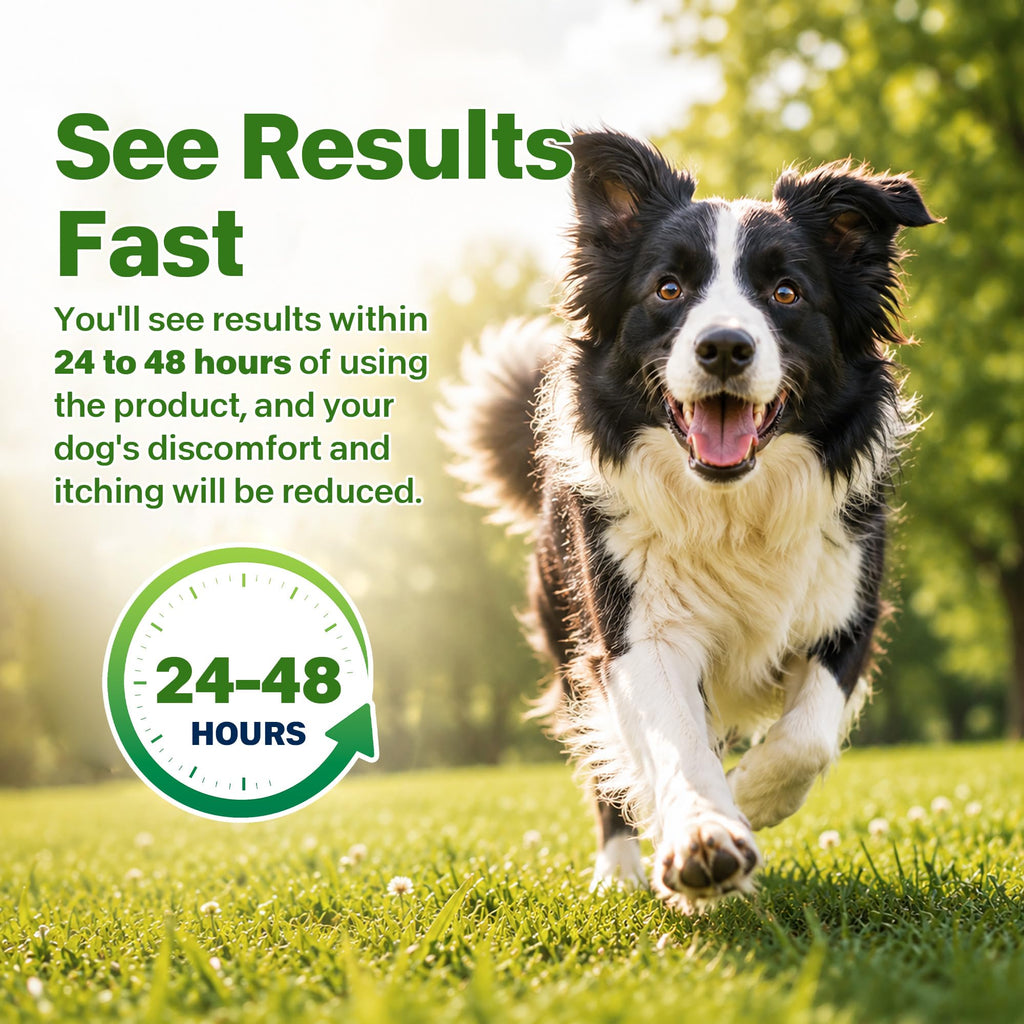 Flea and Tick Prevention for Dogs 5-43 lbs 6 Doses Z637255