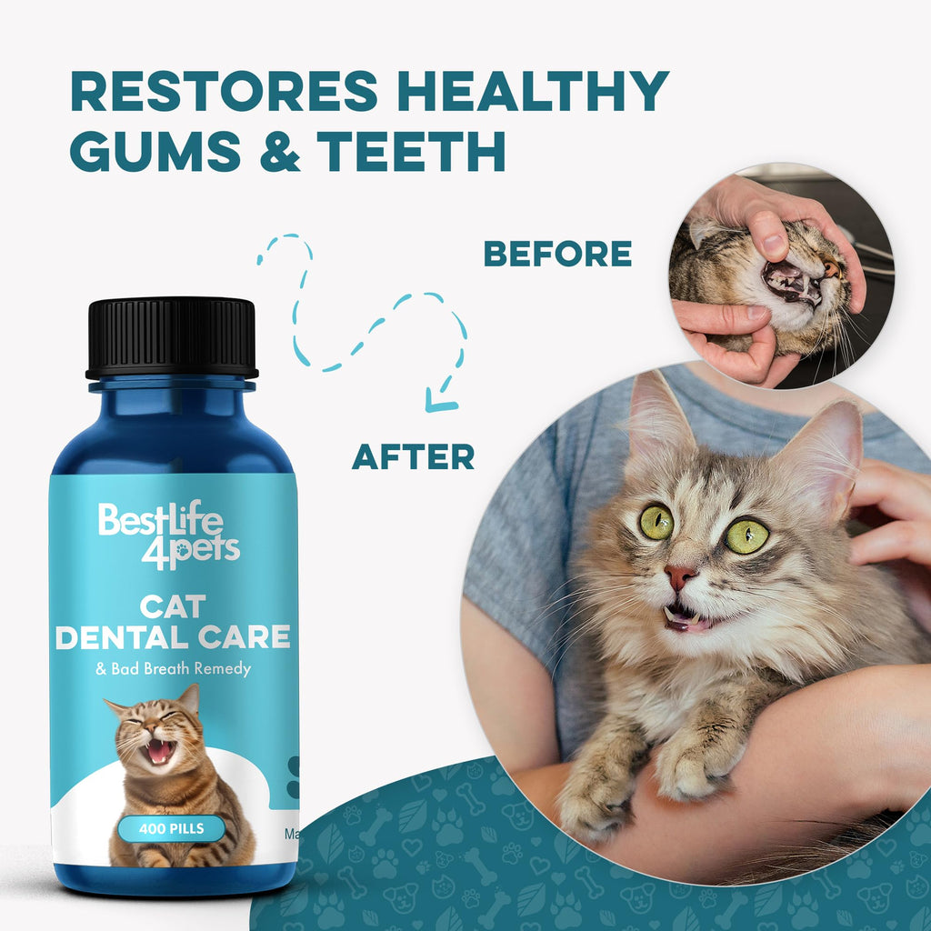 Cat Dental Care Supplement 400 Pills D5443