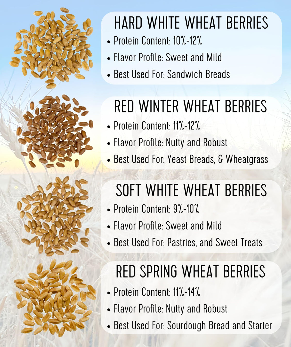 Soft White Wheat Berries 25 LBS Bulk Sproutable Non-GMO Kosher M563485
