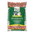 Shelled Peanuts 10 lb Q9135