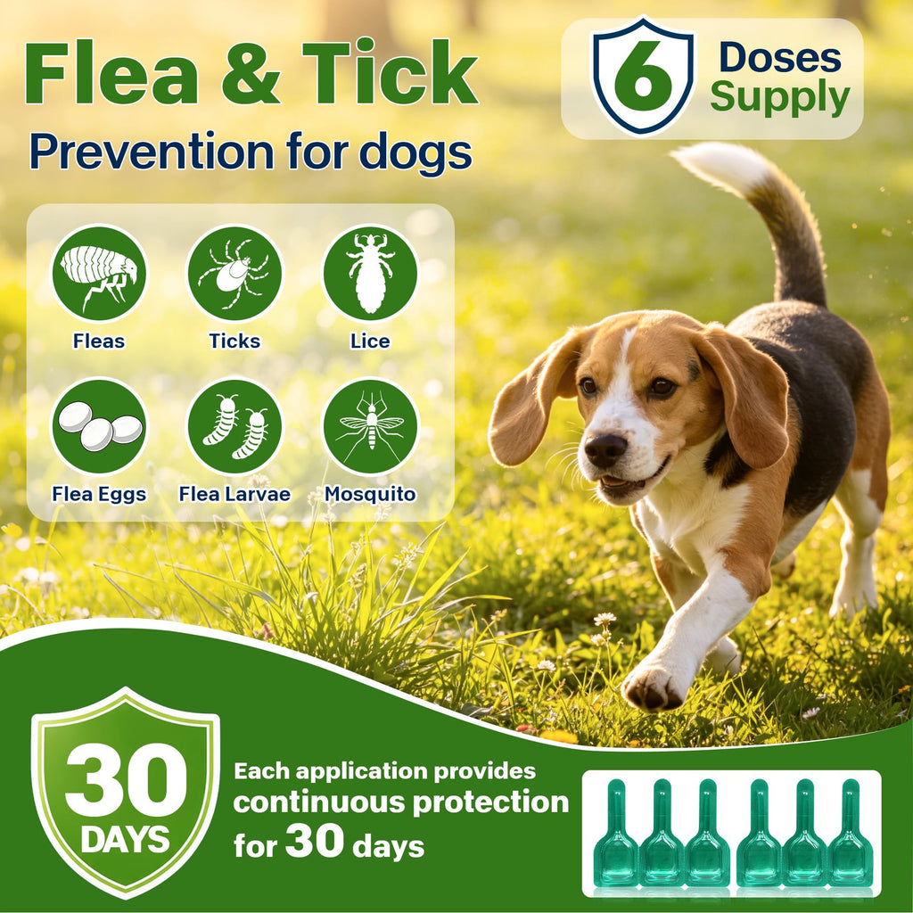 Flea and Tick Prevention for Dogs 5-43 lbs 6 Doses Z637255