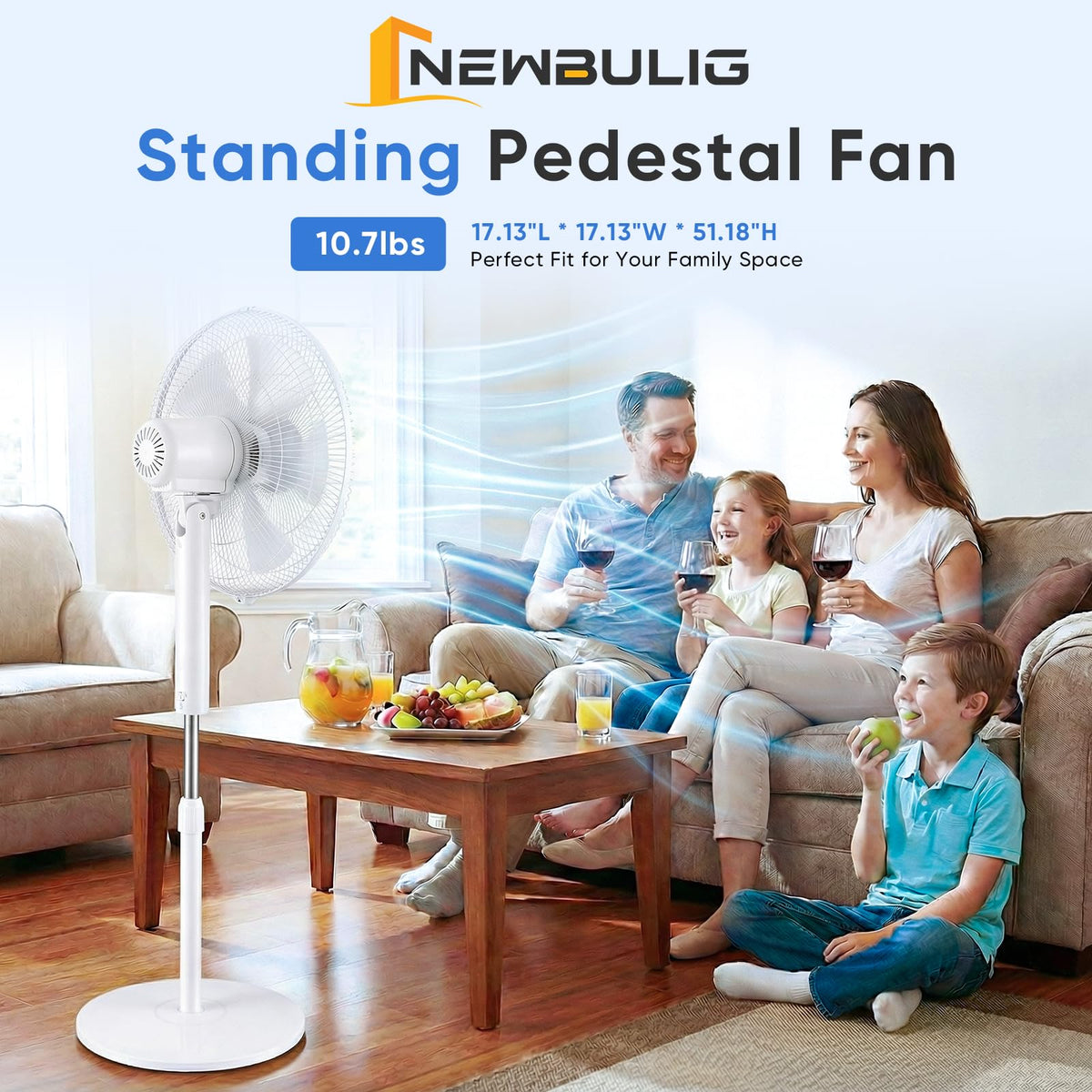 17" Oscillating Pedestal Fan with Remote W7323