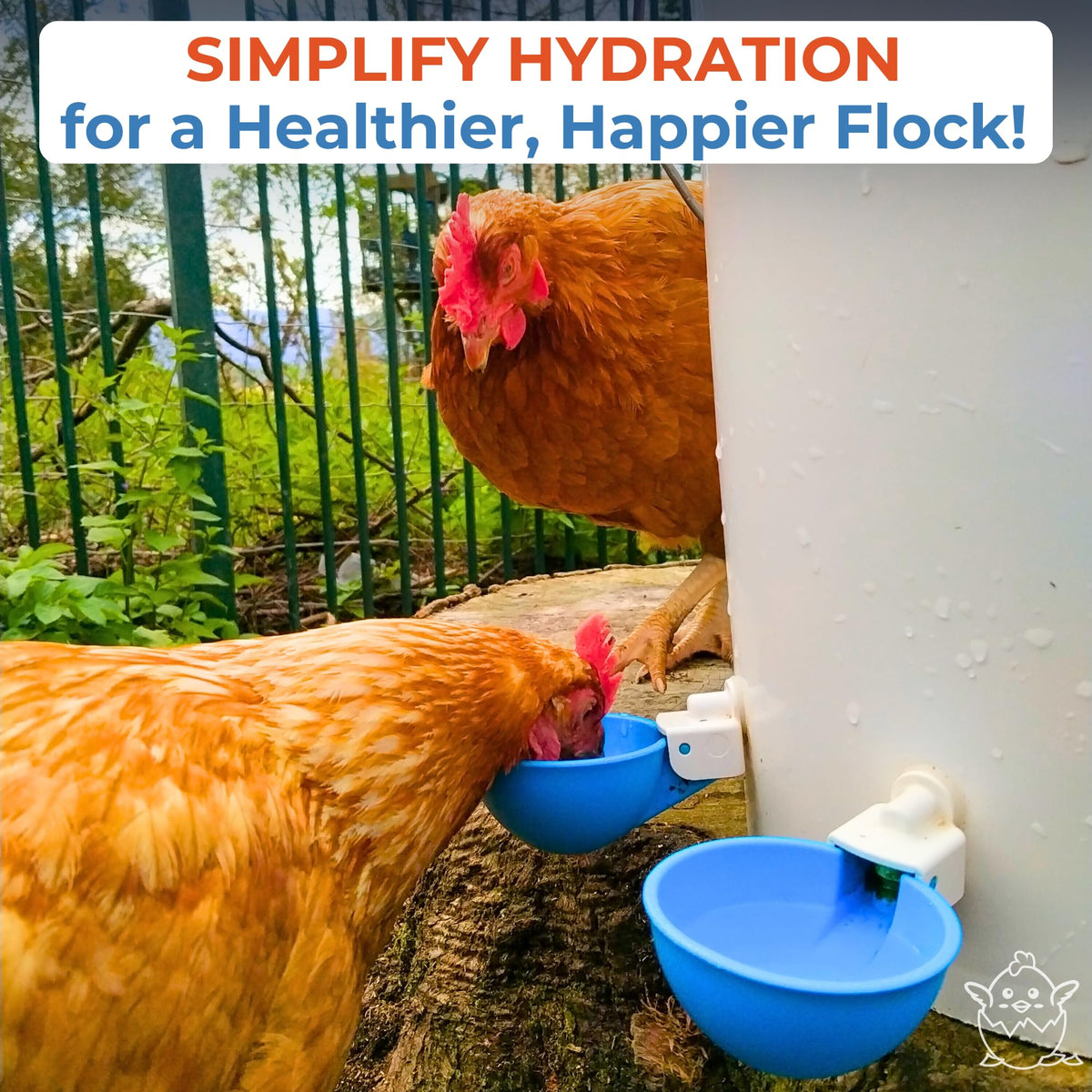 Blue Large Automatic Chicken Waterer Cups Pack of 5 P41409