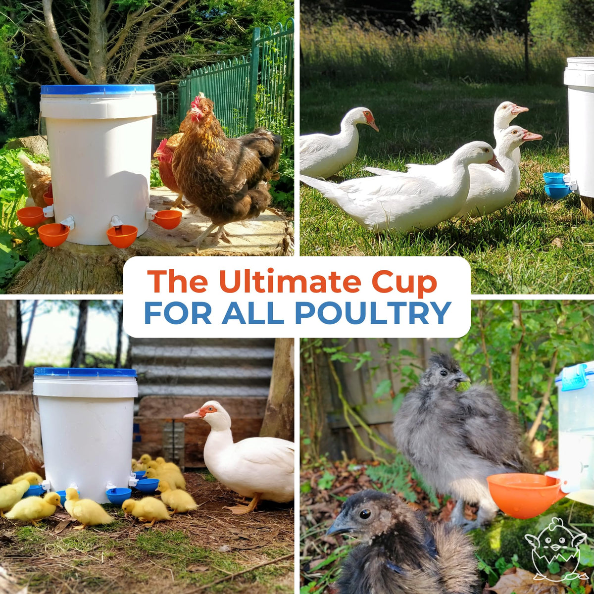 Blue Large Automatic Chicken Waterer Cups Pack of 5 P41409