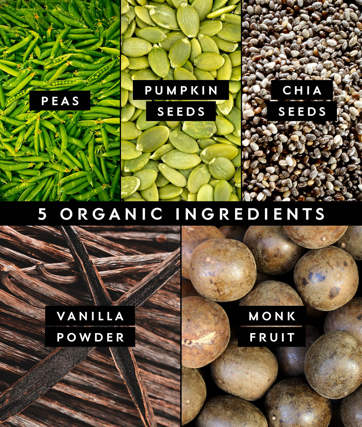 Organic Plant Based Protein Powder Vanilla 18 Servings O89720